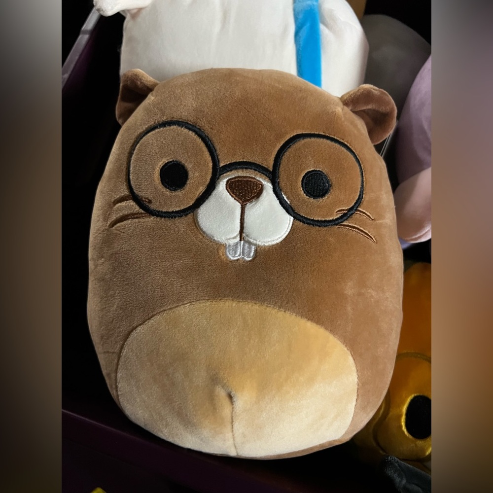 Brand new Chip 8” squishmallow